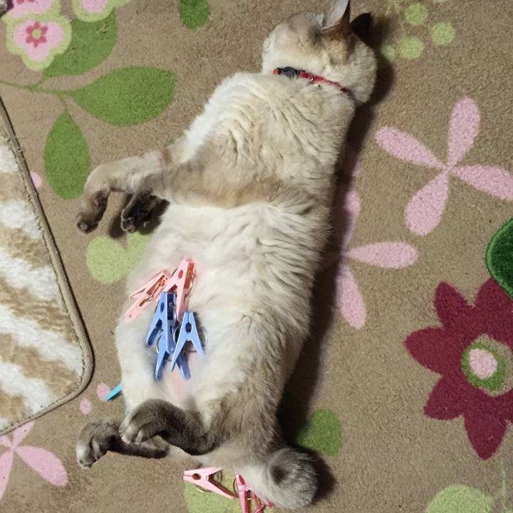 61902d57 8c3b 4856 bae6 27dfca757595 1544008554617