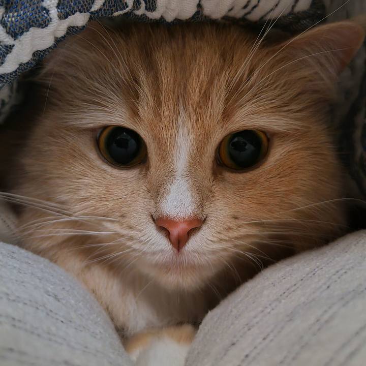 61904c76 05ca 43c3 af37 610b31c86fbb 1708599803396