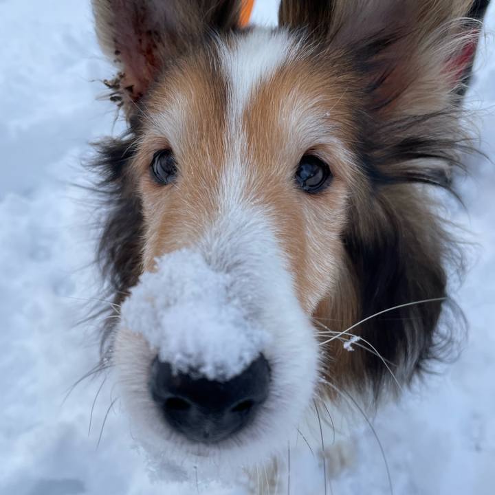 61907d31 b0fe 4112 a3ca e6f5fe6064fc 1639996495900