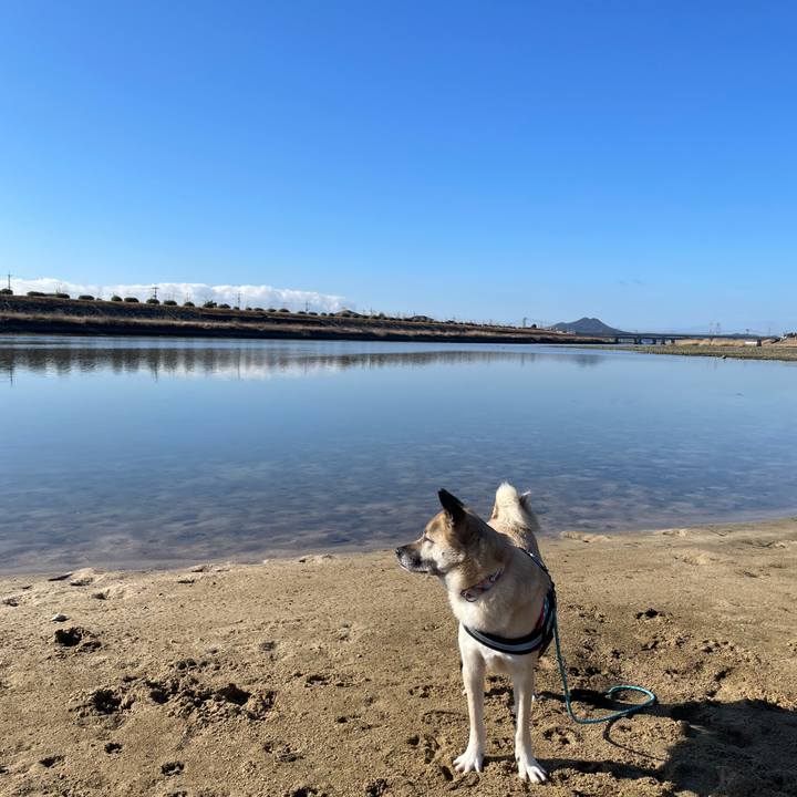 6190bbd7 d2d5 4aa0 ada1 1e5fa4bb41c8 1708171095124