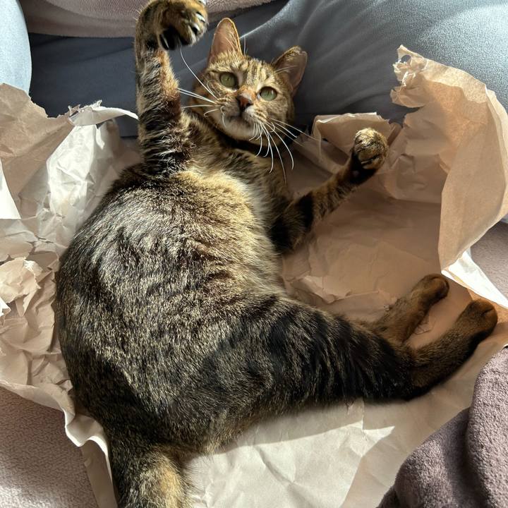 6190c2cd 1323 496f bf43 0069edfc12b1 1737095831467