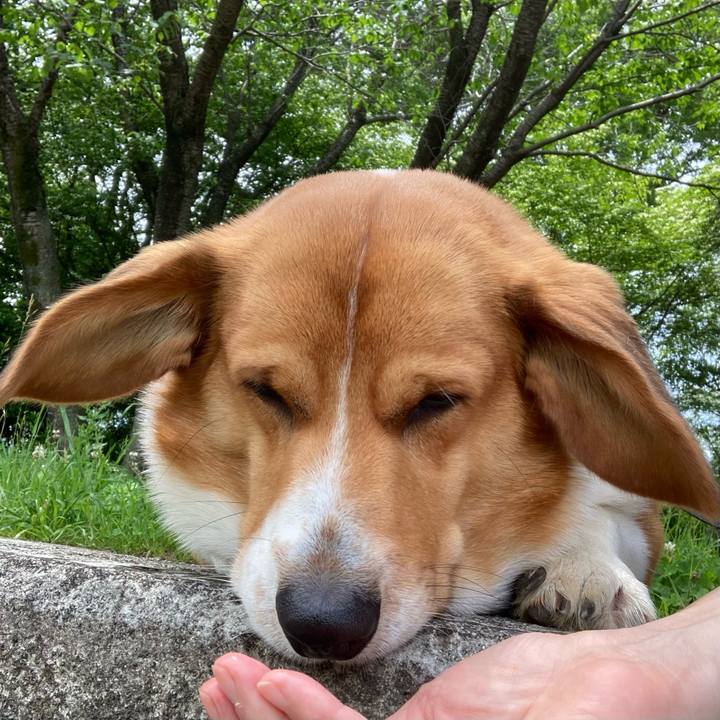 6190f274 c36e 4dfa a55e 651e1674c259 1685273081361