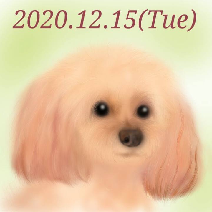 6190fdfd ccb8 4051 9a73 8f057a751308 1608033058011