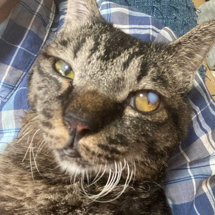 61910ec9 c136 4412 a4e8 a297ab6aaadc 1655443391253