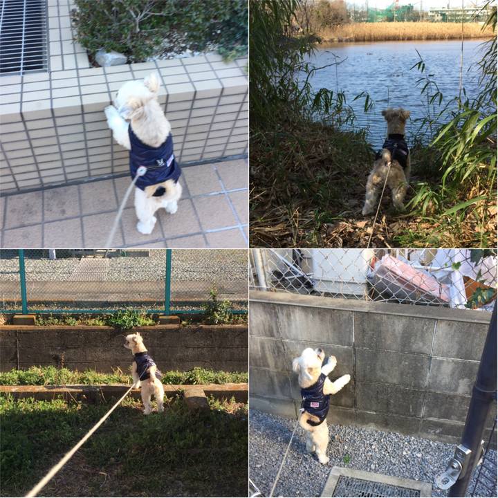 61911604 8104 4086 828f 4b86a221118f 1552031164660