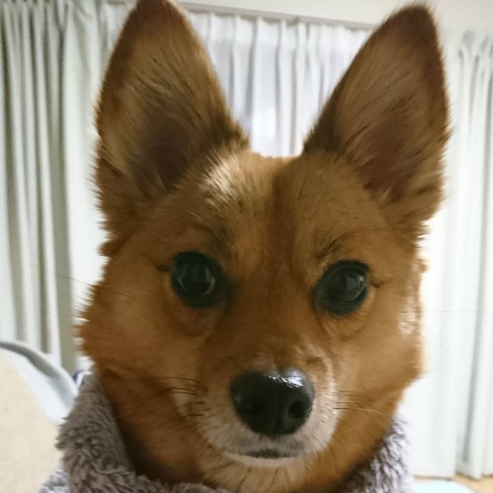 619145ee 21c9 42af a679 be992a3981c1 1520952067644