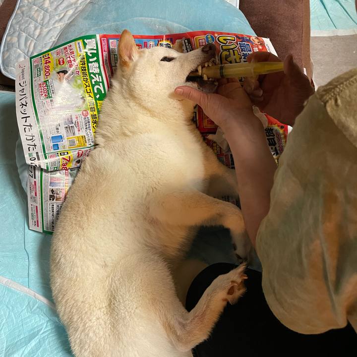 619159f2 f372 4332 8968 edf36ec2eac5 1655472826224