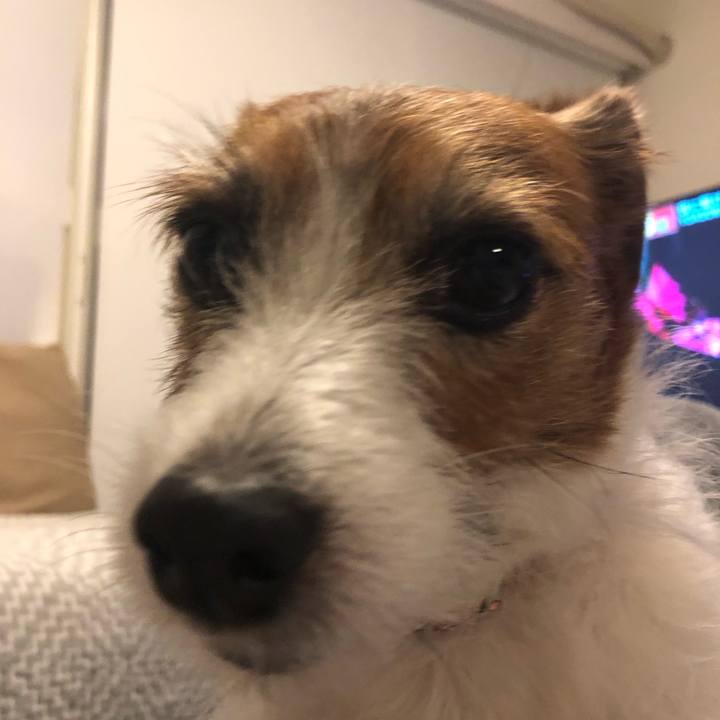 61916655 3534 4084 a213 04394f789504 1614601188432