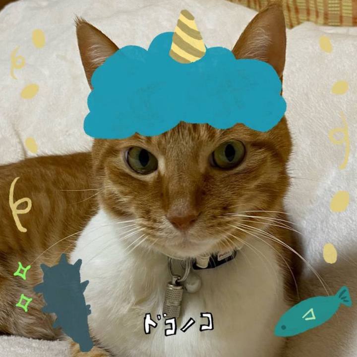 6191d733 7f9f 467f a1ee 7d7b07816d47 1706887625506