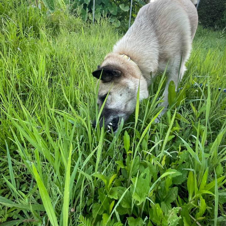 6191e013 c46f 407b a9a4 355e4c22ce30 1659528322893