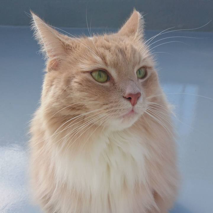 6191f306 2692 4107 a6b5 423d1e4329b0 1511749850052