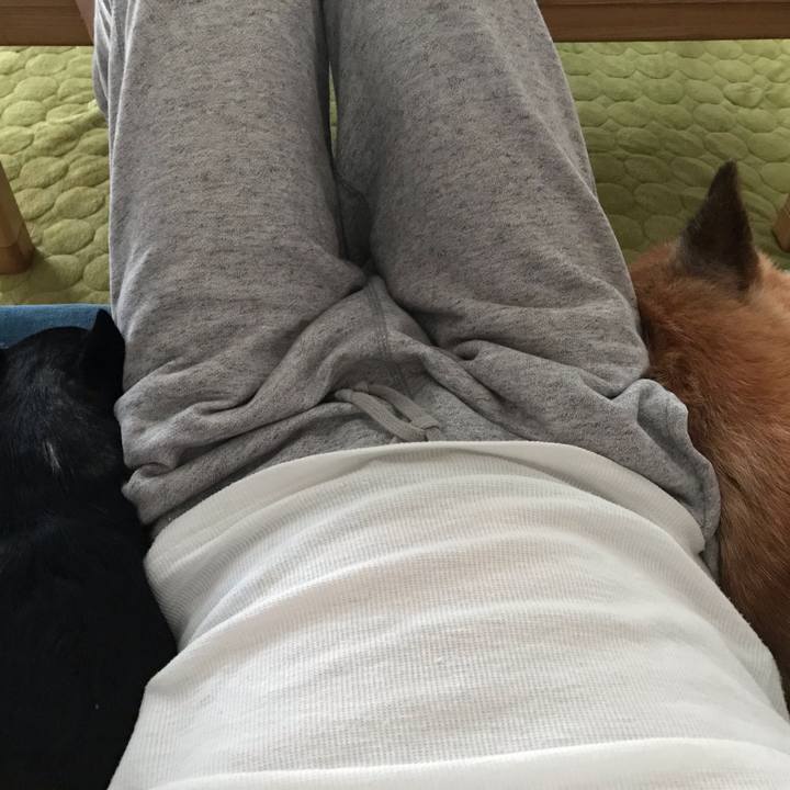 6191fe58 d1db 46bf a90f dc5f496dc0fc 1571469120523