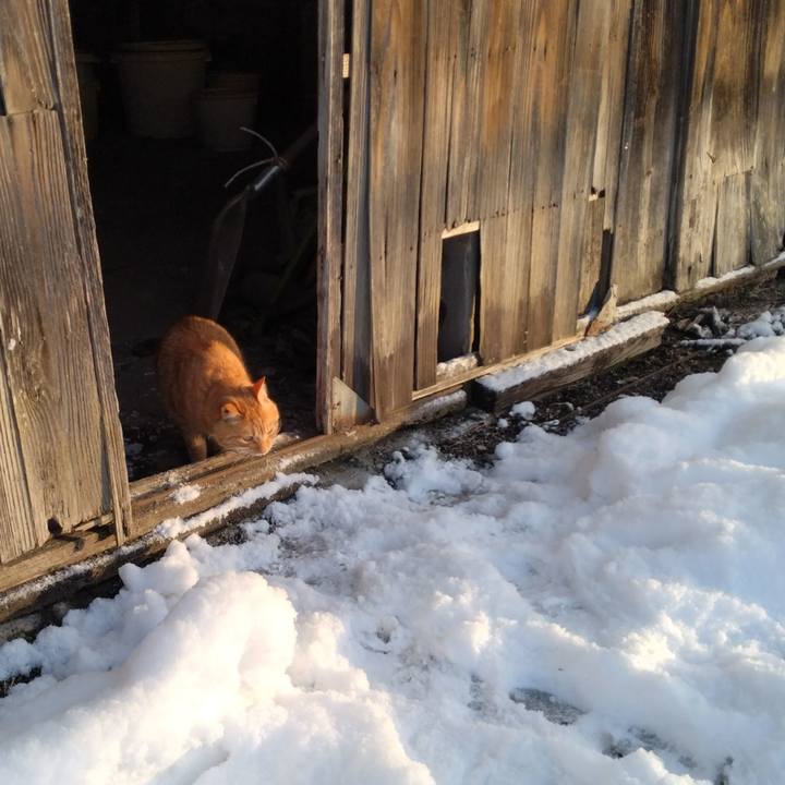 619225ab 71fc 48fb a526 a969a94aad10 1671230676668