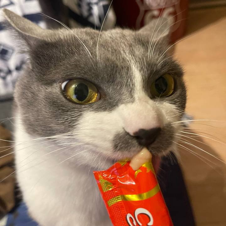 61923542 8971 4095 b40f 51846c4d3cae 1677405601110