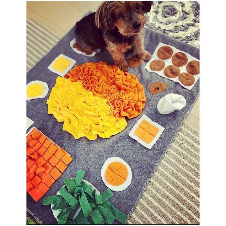 6192434b 97e2 4687 bf77 41682a7335d6 1665810308086