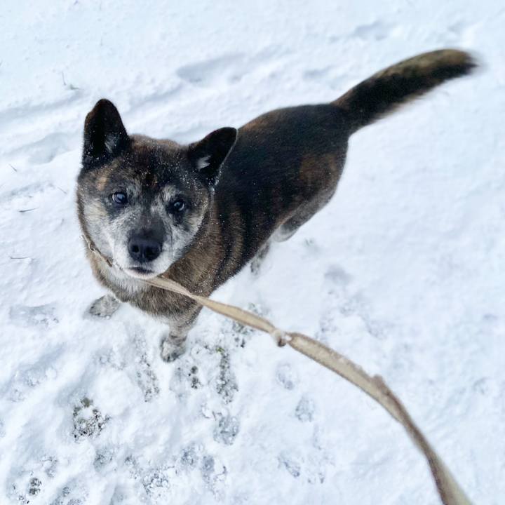 61925747 1252 424e 95e7 ece896fd9b6c 1640470655956