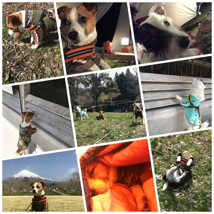 61929d92 e48c 429f 8b34 39305074f056 1522566490116