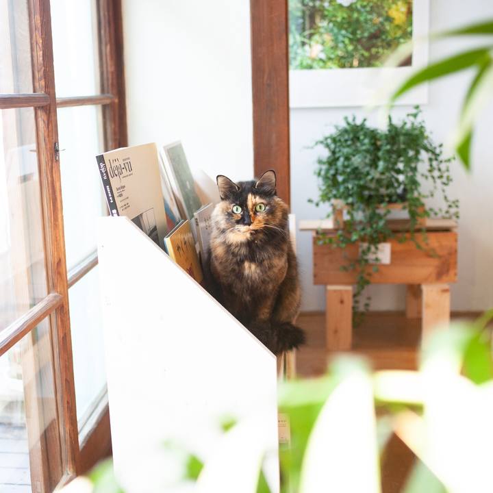 6192d5d2 e55b 4a18 b50f 33652cab238e 1580180959862