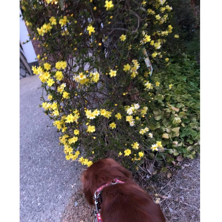 6192f49b 772c 4d9f 9e42 c17d3616a62e 1585230766200