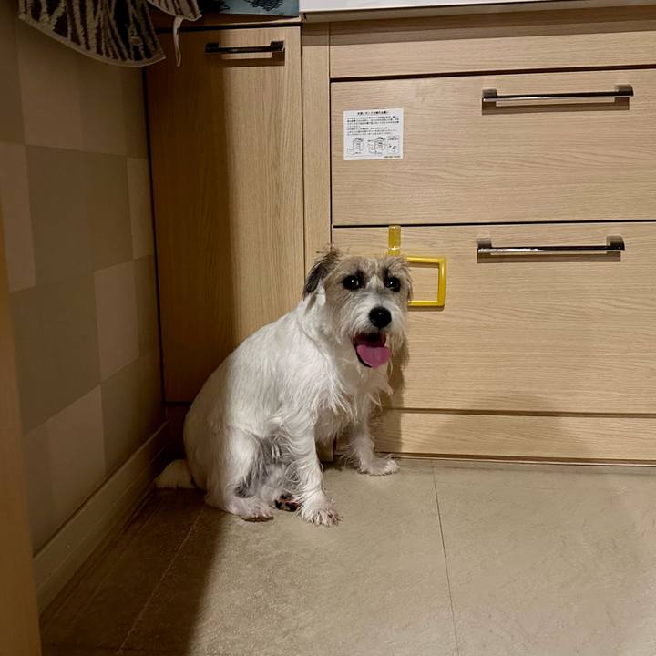 61931370 2407 47f8 9682 bce60f2d947e 1695220799471