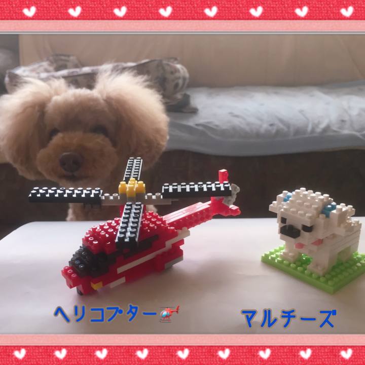 61934a29 f597 43a9 8411 7222ac34ce16 1538968838433