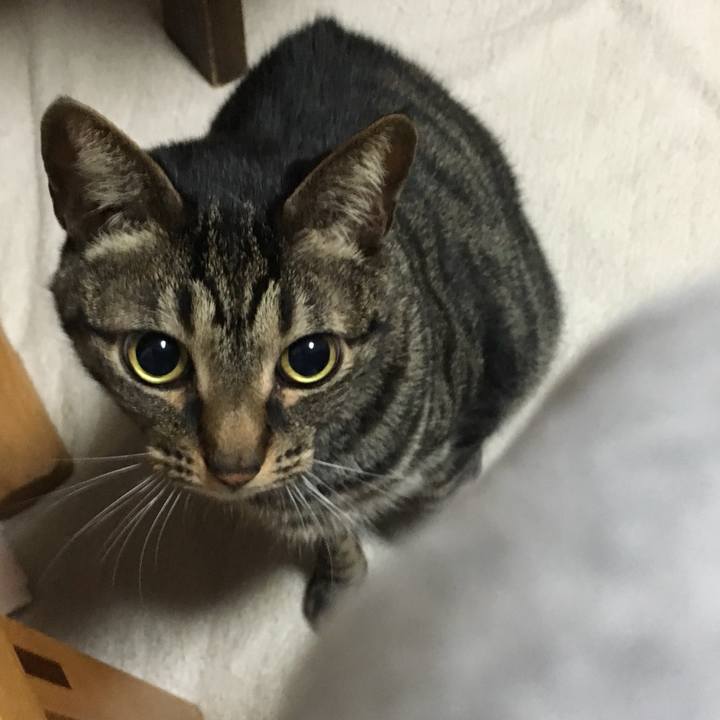 619356bf e442 43b8 be05 f28b5498c7d1 1559727476955