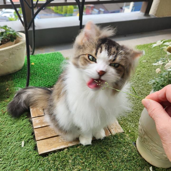 6193a6c7 e816 4e9e a664 9395e677c841 1748736680447