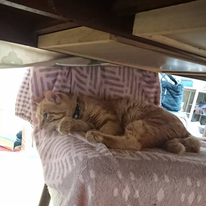 6193b807 83e5 4f5b 8295 a74248854660 1652821522983