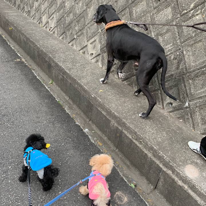 6193c622 b66b 4352 8b32 0e4f75cf1756 1550881365378