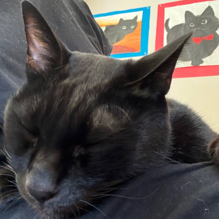 61942309 a8a6 4759 ab46 c4747abca6a3 1757112069007