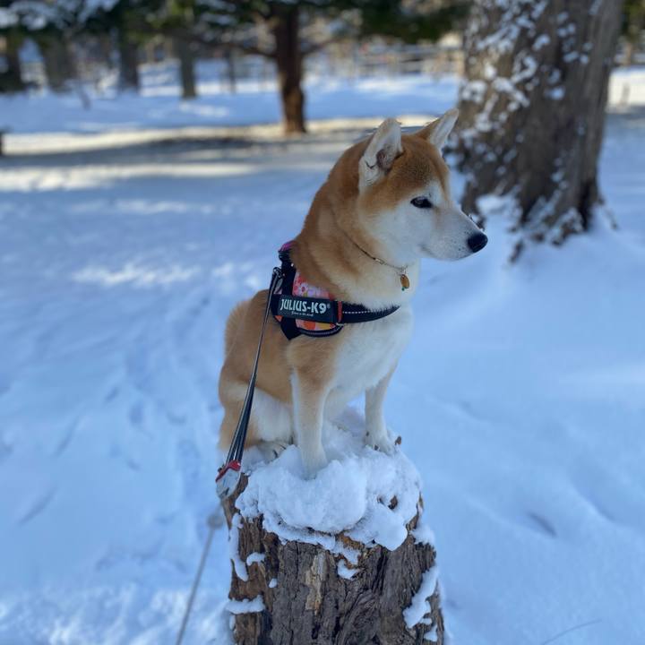 619442fe 8d3f 41fc bf2c 635d66354541 1609551982035