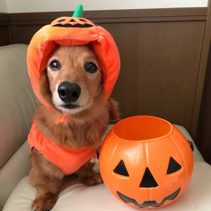 6194fab0 224e 4b28 9648 31b0057c4331 1540874362861