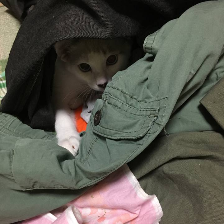 61951bce c4ab 472a 9f3f 32a7ffd16e68 1536753691151