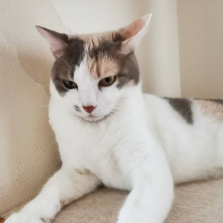 619539be b712 432c 86b0 84defe162b06 1663903420481