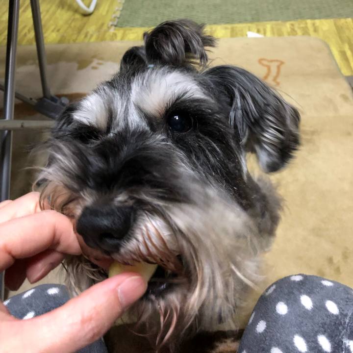 61954066 4e09 466a 91ba 97a4d05888fa 1550147354763