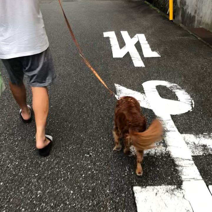 61956a53 eecd 446e 84c0 89977ea78c40 1631833043237