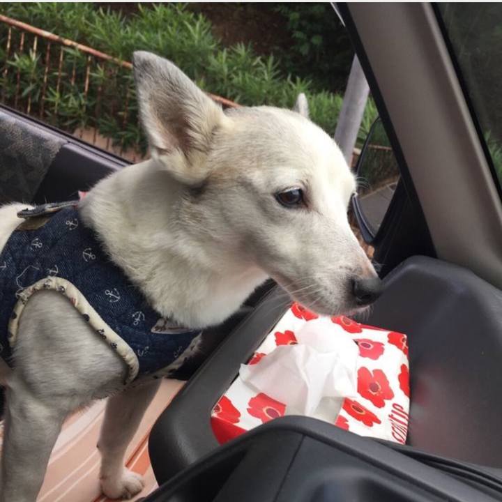 61958278 e8d0 4693 b161 636fb2adb16c 1760395592691