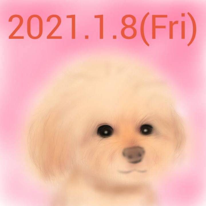 619583ff 2d15 4a57 9aef 5735007123ac 1610109175861
