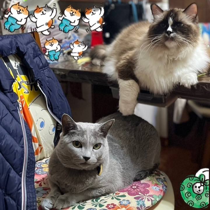 6195a037 6975 493b a45a ffe1c02540e0 1732279585249