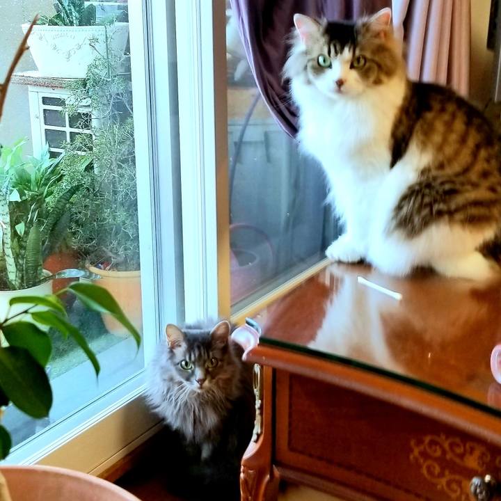 6195abd2 5c72 4c8d b108 905681229c28 1594387755217