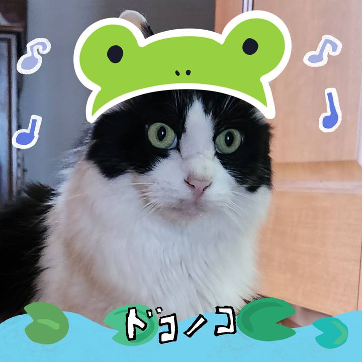 6195adde 27fe 443a 8786 b8371fde2053 1718146639856