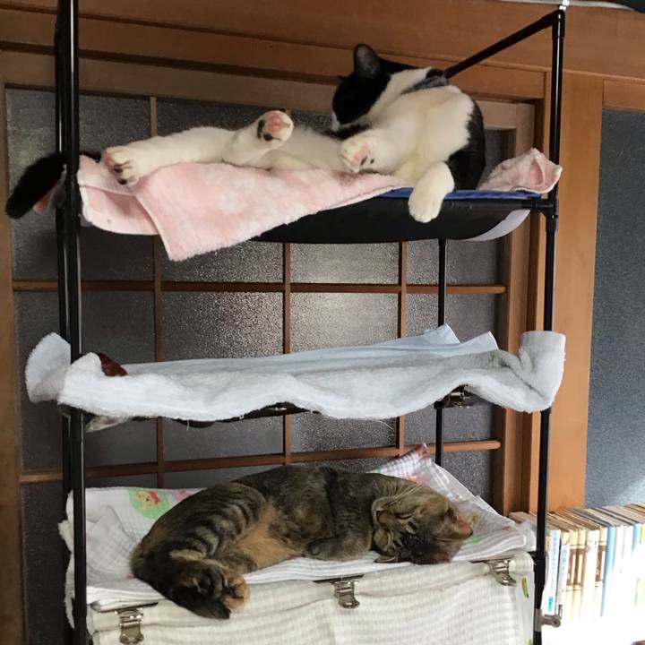 6195bacd 142d 4bab 9f1c f839bdec2cc6 1643503896045