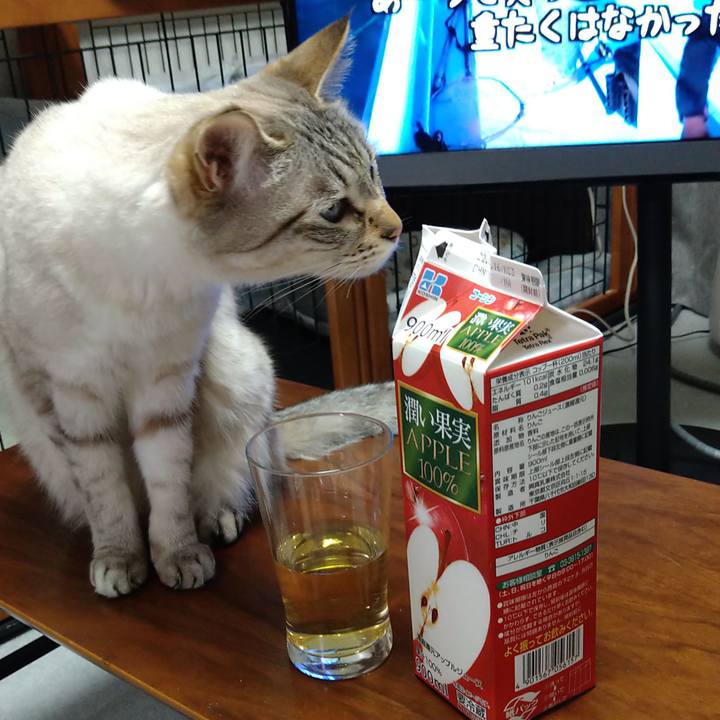 6195c2de e0bb 49e8 a961 d634ebbb6e01 1646481571497