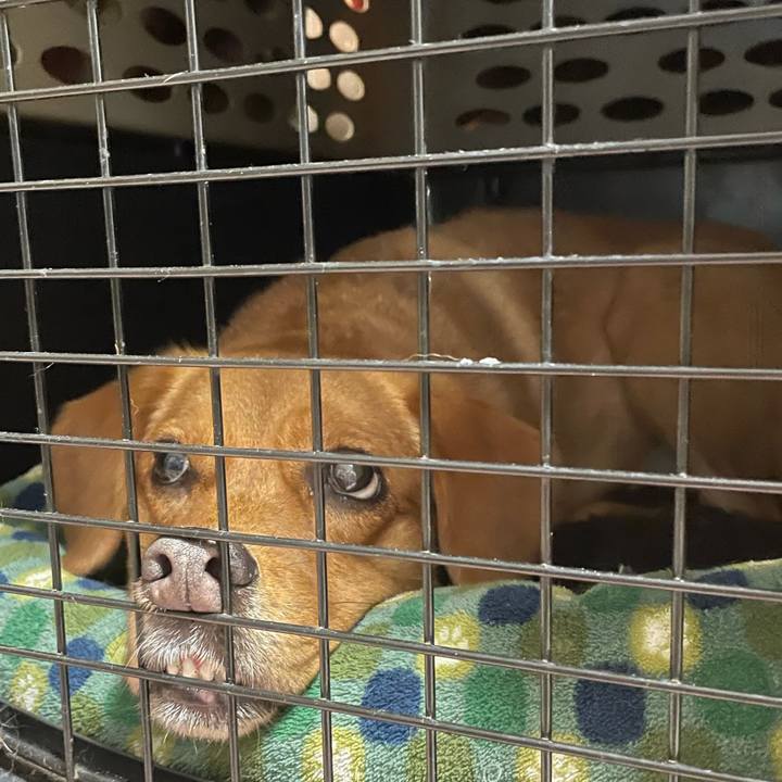 6195da99 ecfc 471b a538 38b7dd39e531 1630893393302