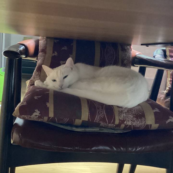 619600e3 f2ae 46dd 8adf 039864c45b9d 1669938410256