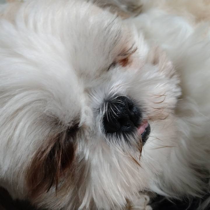 61963207 5060 41fc a702 1dd8184abf6e 1614523447348