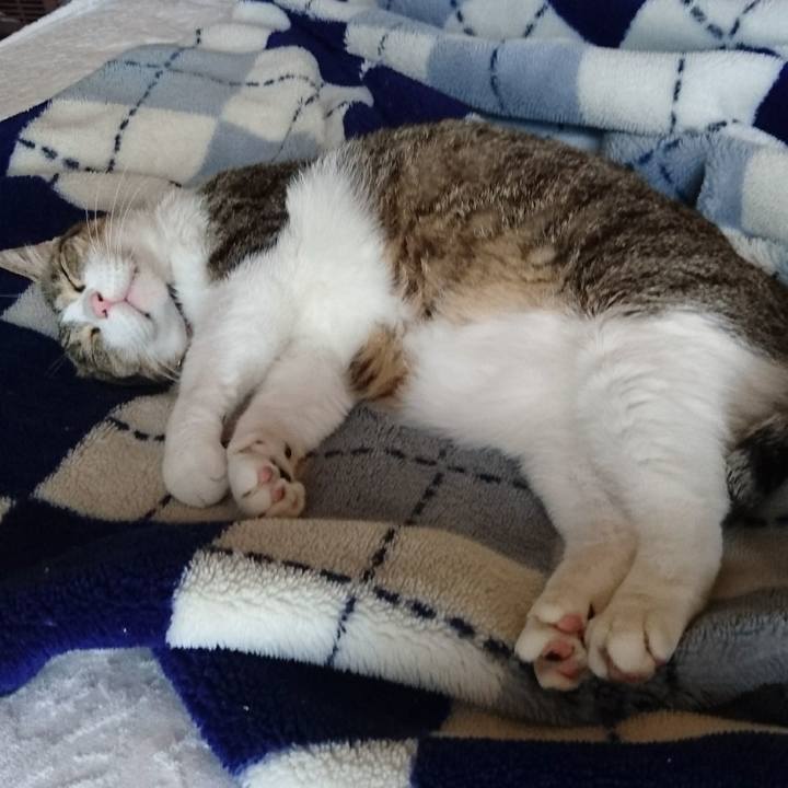 61968d18 c04e 4c22 afbc 845ea35a7b17 1531181543627