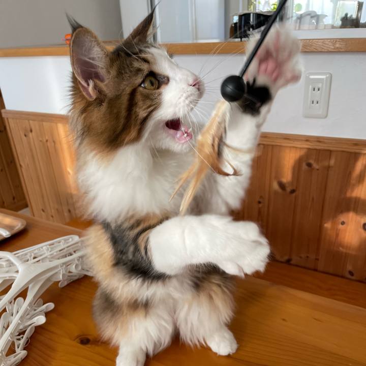 6196906a 90a7 4e10 9031 ad672ebbb908 1639270514428