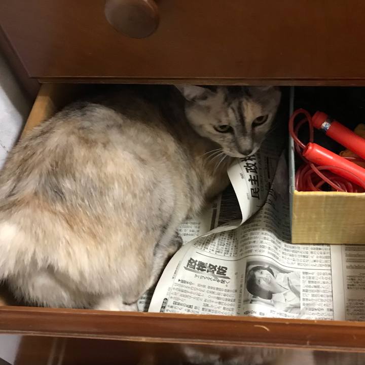 6196d9a1 3348 460f adbc f44f9bda645b 1662896688442