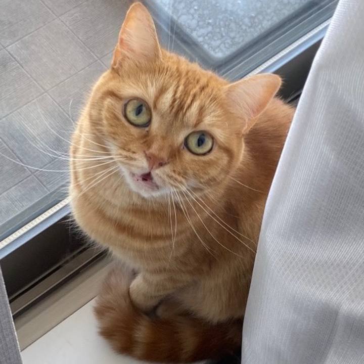 61971189 6d94 4dac a958 269364e60439 1694906591969